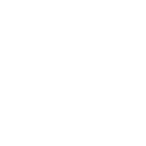 Walt Disney 300